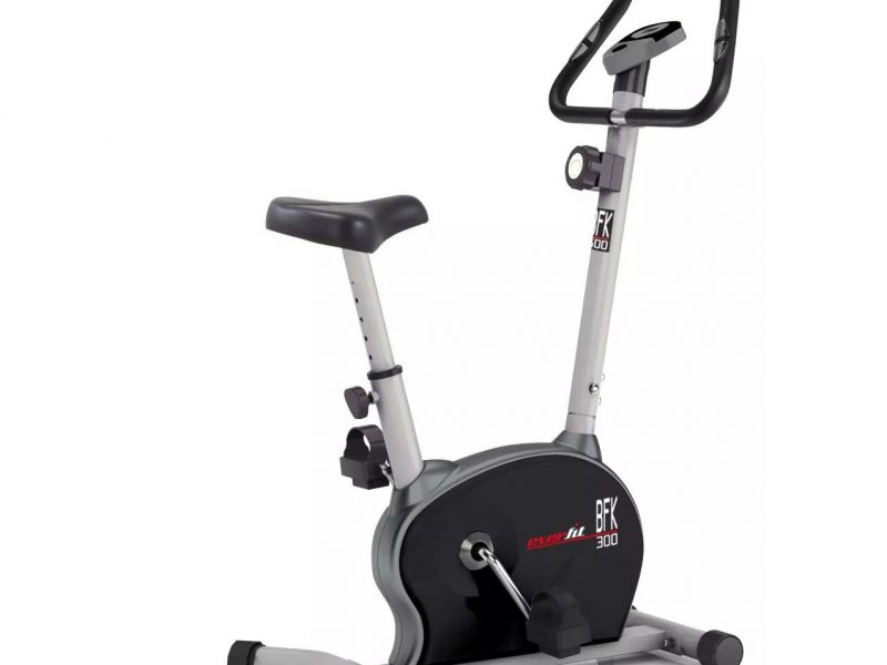 Cyclette Everfit BFK 300 magnetica